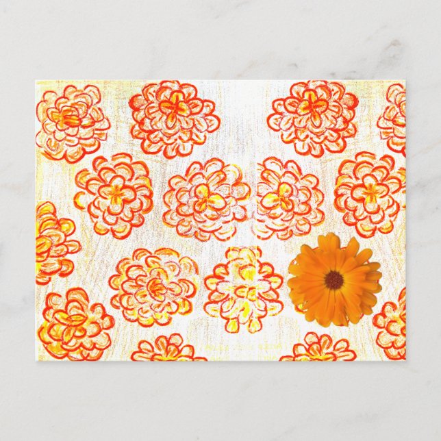 Marigolds Postcard (Front)