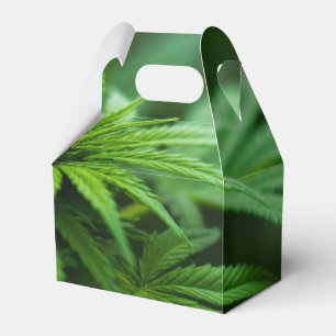 Marijuana Favour Box