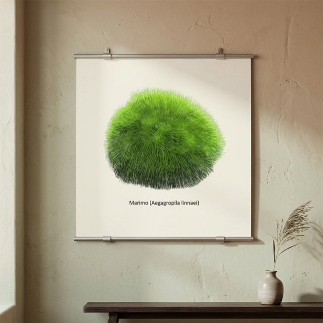 Marimo Moss Ball Hand Drawn  Poster (Creator Uploaded)