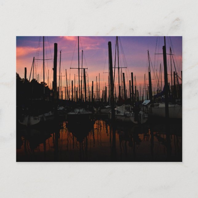 Marina at sunset postcard (Front)
