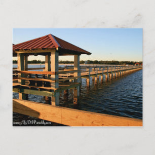Marina Docks Postcard