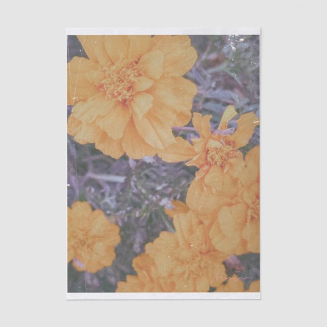 MARINA FILM ART TISSUE PAPER (Front)