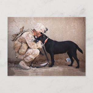 Marine and His Dog Postcard