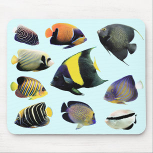 Marine Angelfishのマウスパッド,No.01 Mouse Pad