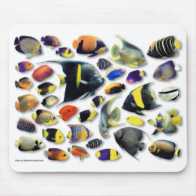 Marine angelfish mouse pad (Front)