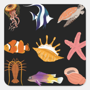 Marine animals: fish, turtle, seashell, jellyfish, square sticker