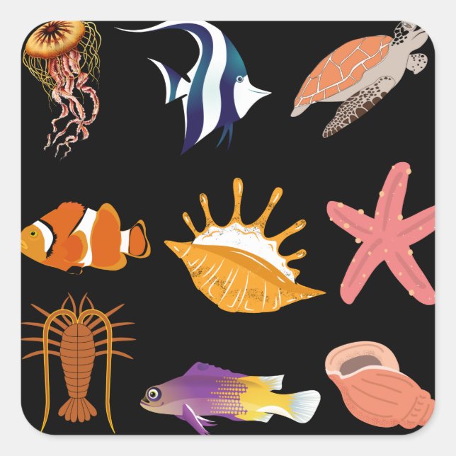 Marine animals: fish, turtle, seashell, jellyfish, square sticker (Front)