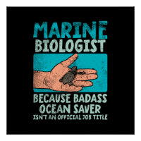 Marine Biologist