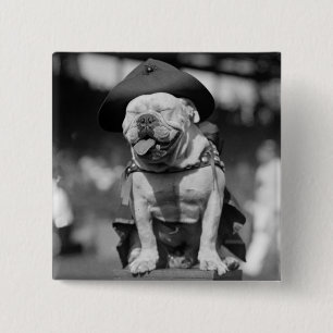 Marine Corps Mascot, 1920s 15 Cm Square Badge