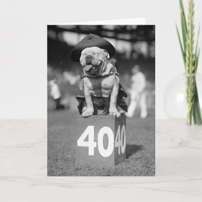 Marine Corps Mascot, 1920s Card (Front)