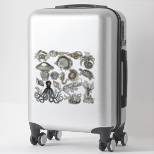 Marine Creatures Transparent Vinyl Stickers