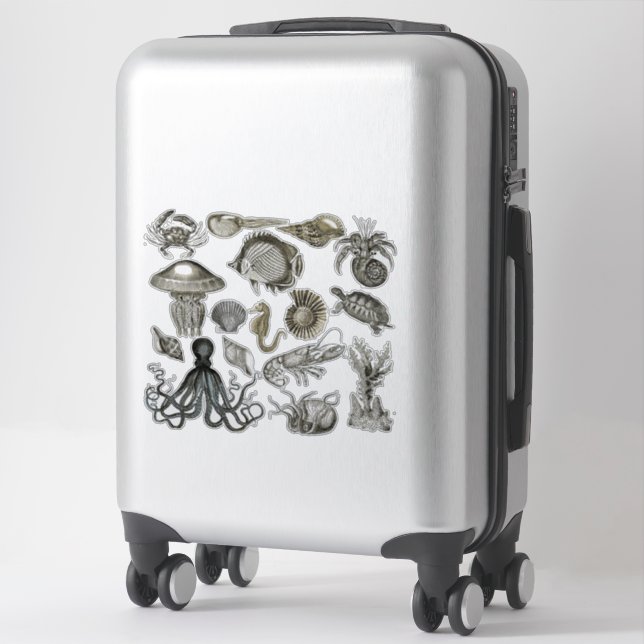 Marine Creatures Transparent Vinyl Stickers (Suitcase)