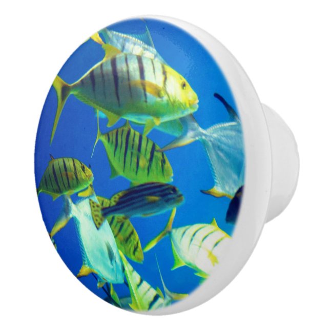 Marine Fish of Yellow with Black Stripes Ceramic Knob (Right)
