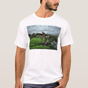 Marine Iguana Colony T-Shirt