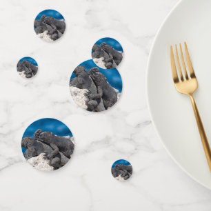 Marine Iguana Confetti