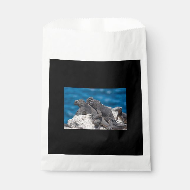 Marine Iguana Favour Bags (Front)