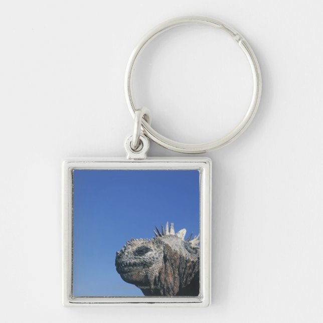 Marine Iguana Key Ring (Front)