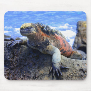 Marine Iguana Mouse Pad