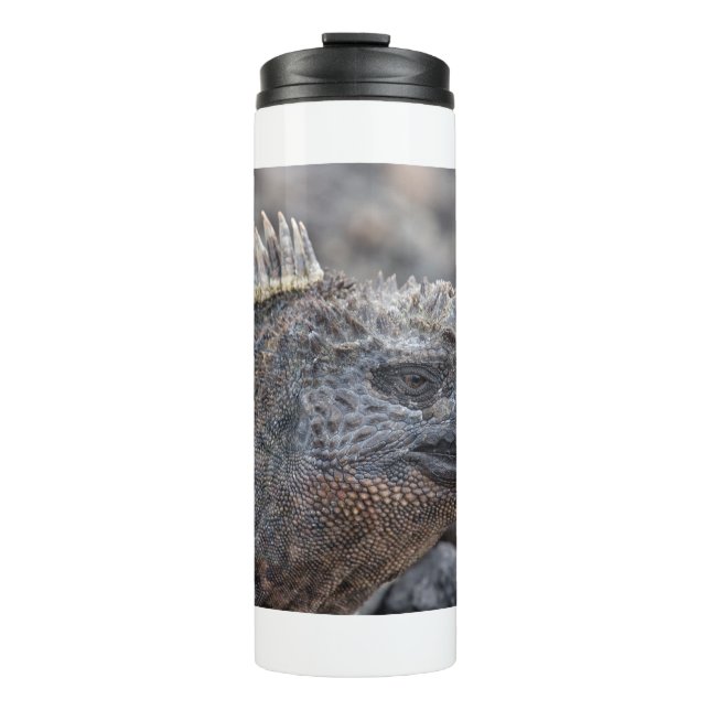 Marine Iguana Thermal Tumbler (Front)