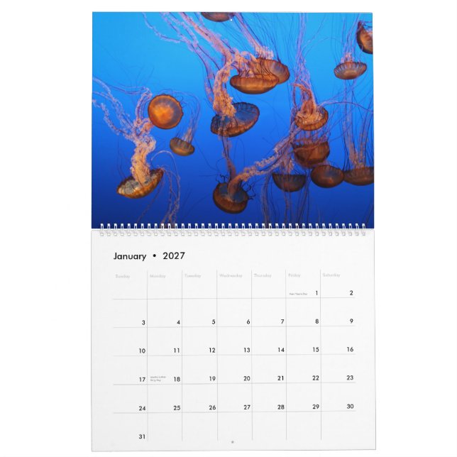 Marine life calendar (Jan 2027)