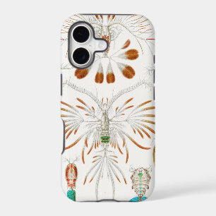 Marine Life Crustaceans, Copepoda by Ernst Haeckel