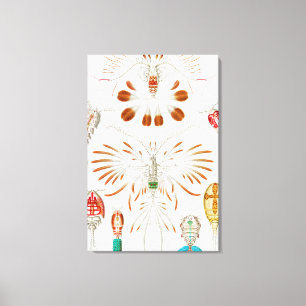 Marine Life Crustaceans, Copepoda by Ernst Haeckel Canvas Print
