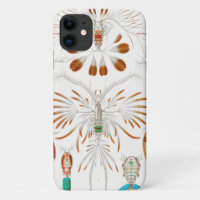 Marine Life Crustaceans, Copepoda by Ernst Haeckel