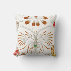 Marine Life Crustaceans, Copepoda by Ernst Haeckel Cushion