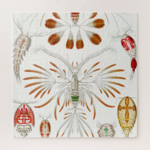 Marine Life Crustaceans, Copepoda by Ernst Haeckel Jigsaw Puzzle