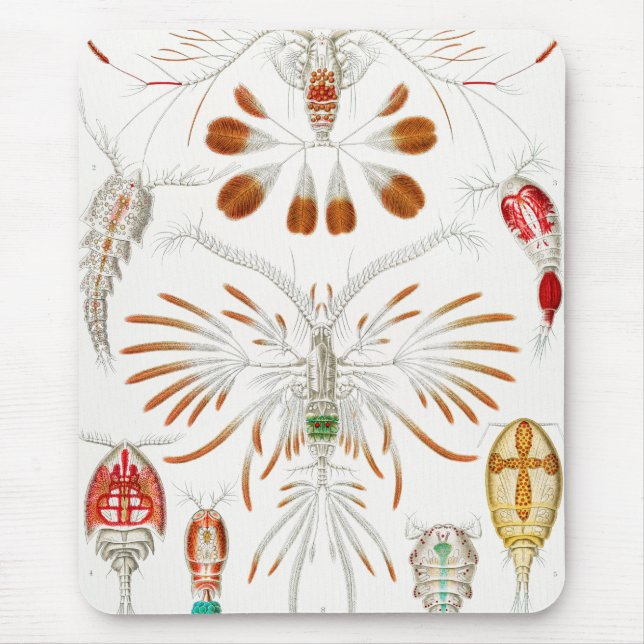 Marine Life Crustaceans, Copepoda by Ernst Haeckel Mouse Pad (Front)