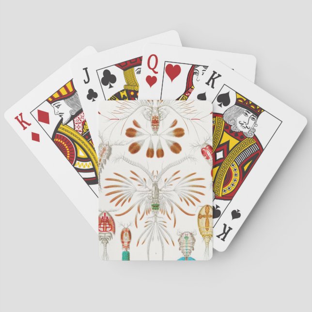 Marine Life Crustaceans, Copepoda by Ernst Haeckel Playing Cards (Back)