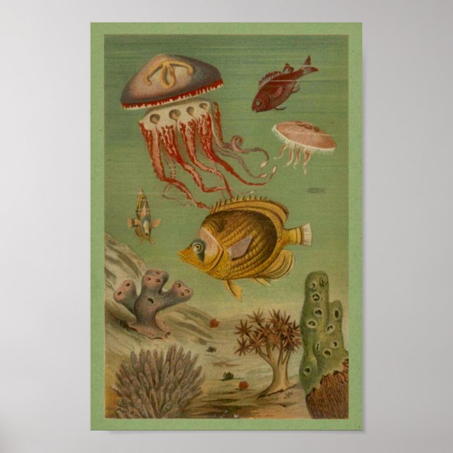 Marine Life Jellyfish, Fish, Coral Print (Front)