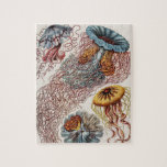 Marine Life Jellyfish Illustration - Ernst Haeckel Jigsaw Puzzle<br><div class="desc">Discomedusae–Scheibenquallen from Kunstformen der Natur (1904) by german zoologist,  naturalist,  professor,  and marine biologist,  Ernst Haeckel (1843–1919). Original from Library of Congress. The geometric shapes and natural forms,  captured with exceptional precision.</div>