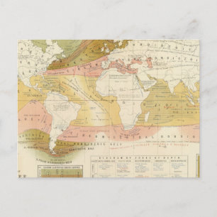 Marine life postcard