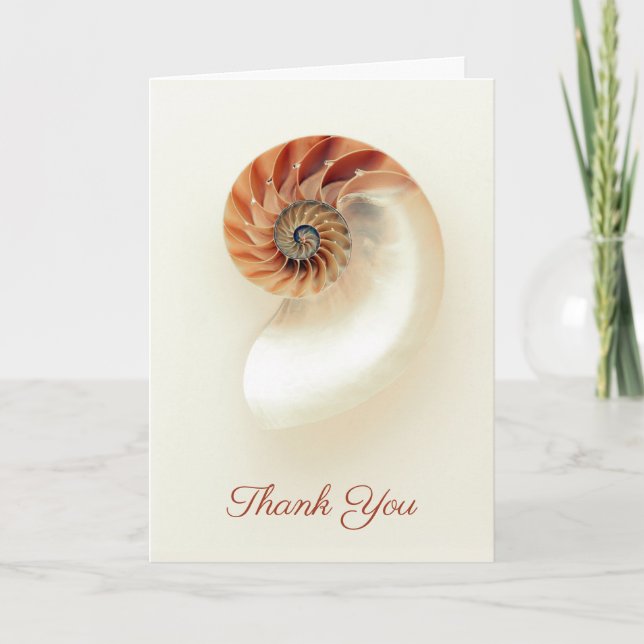 Marine Seashell Thank You Personalised Minimalist Card (Front)