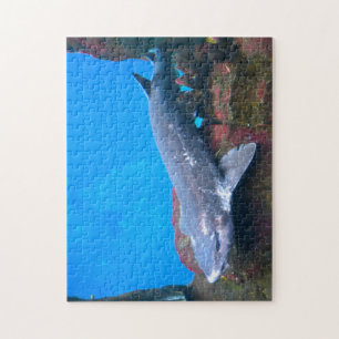 Marine Sharks. Jigsaw Puzzle