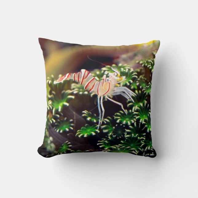 Marine Shrimp , Lebeus balssi Cushion (Front)