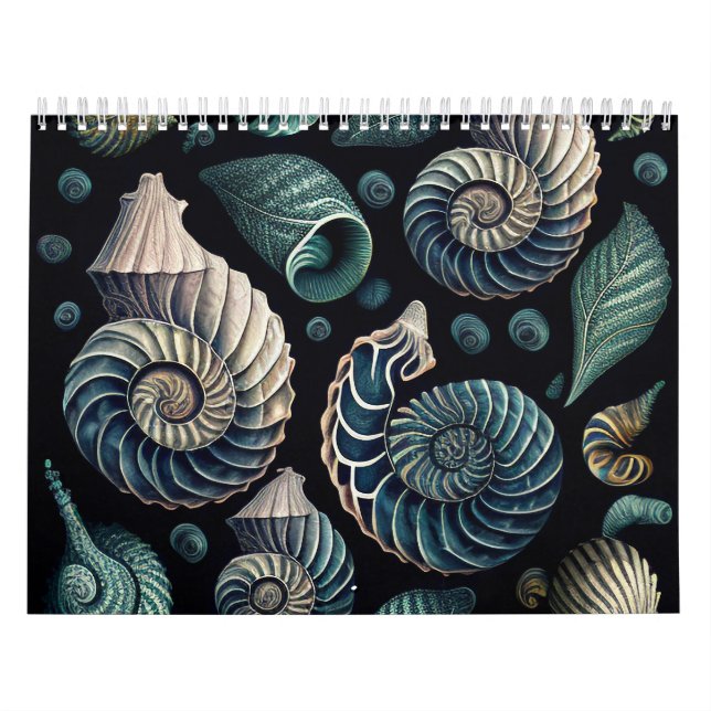 Marine Treasures Calendar (Cover)