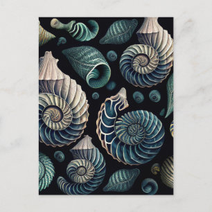 Marine Treasures Postcard