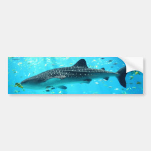 Marine Water Chic Stylish Cool Blue Whale Shark Bumper Sticker