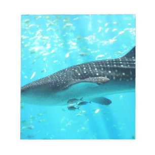Marine Water Chic Stylish Cool Blue Whale Shark Notepad