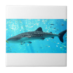 Marine Water Chic Stylish Cool Blue Whale Shark Tile
