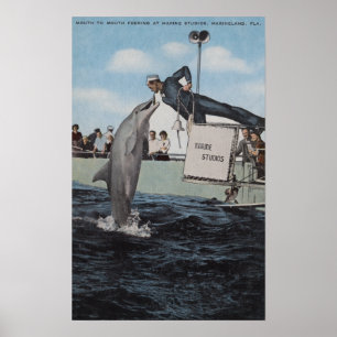 Marineland, Florida - Sailor Mouthfeeding Poster