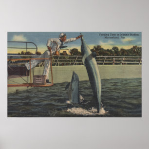 Marineland, Florida - View of Feeding Porpoises Poster