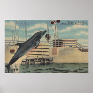 Marineland, Florida - View of Pudgy the Poster