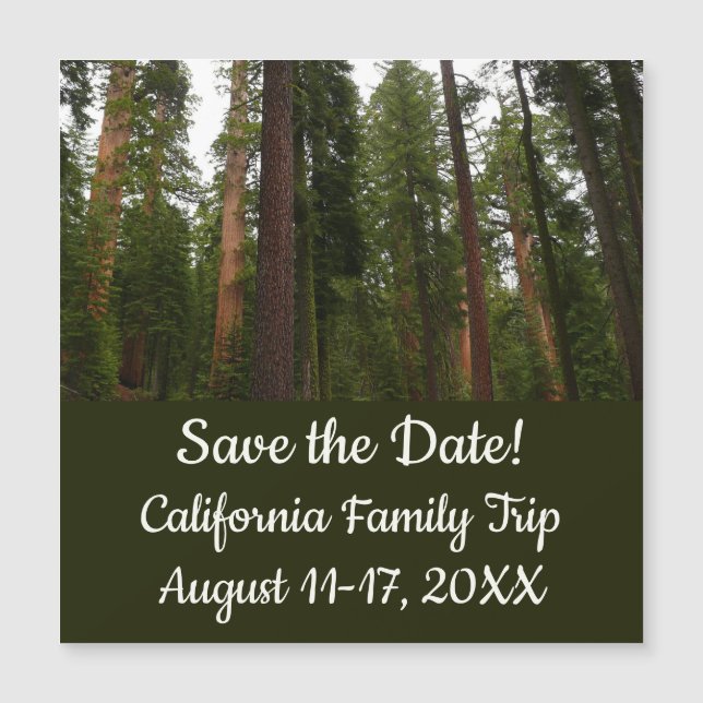 Mariposa Grove in Yosemite National Park (Front)