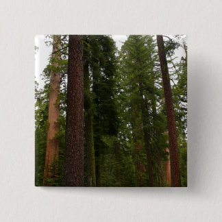 Mariposa Grove in Yosemite National Park 15 Cm Square Badge