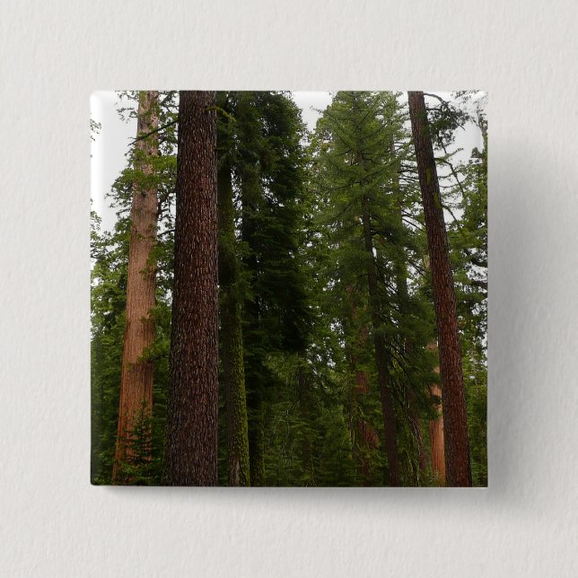 Mariposa Grove in Yosemite National Park 15 Cm Square Badge (Front)