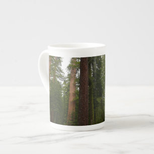 Mariposa Grove in Yosemite National Park Bone China Mug