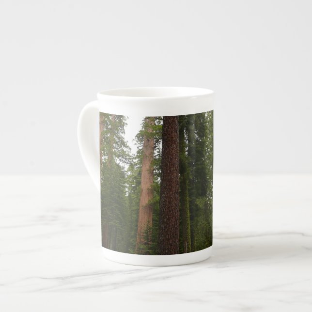Mariposa Grove in Yosemite National Park Bone China Mug (Front Left)